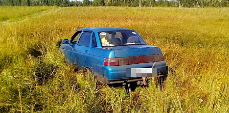 В Зауралье угонщик на "Жигулях" застрял в болоте