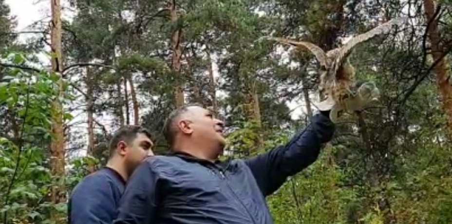 Челябинские зоозащитники выпустили на волю хищных птиц
