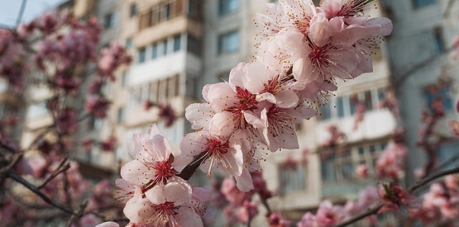 В Челябинске поздравили долгожительницу с Международным женским днем
