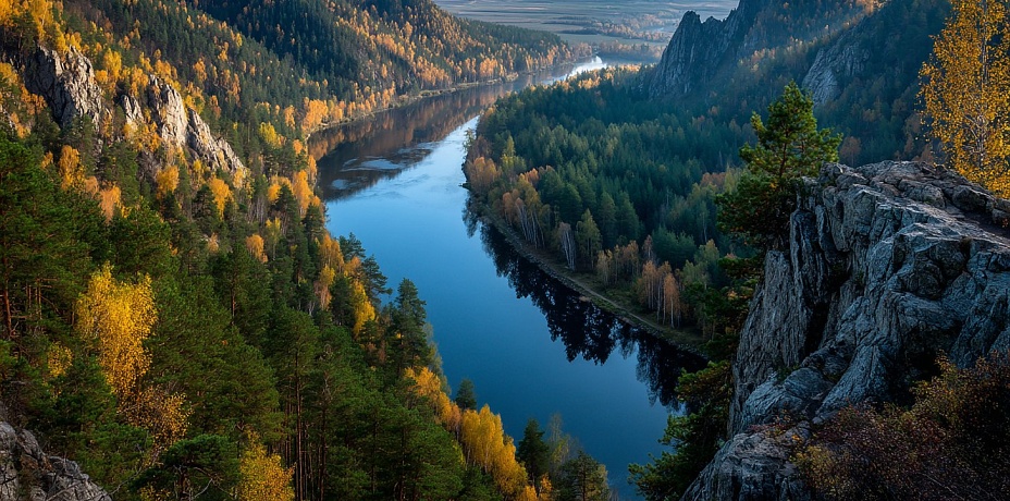 Тюменские лосята обрели новый дом на Южном Урале