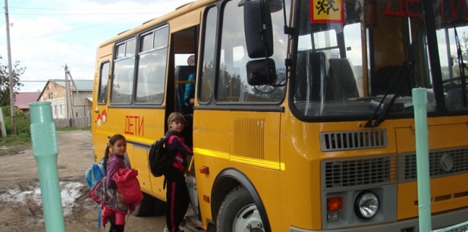 Сельских школьников Челябинской области порадуют новенькими «пазиками» с печкой