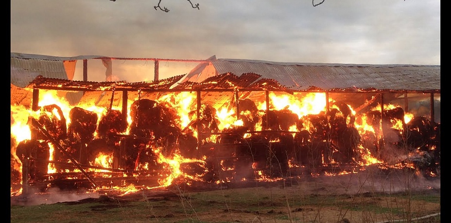 Чебаркулец сжег 350 тонн сена в Уйском районе из-за конфликта 