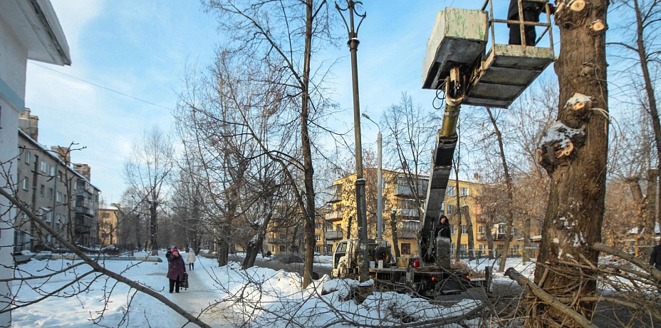 В Челябинске посадят 3000 деревьев на 200 миллионов рублей