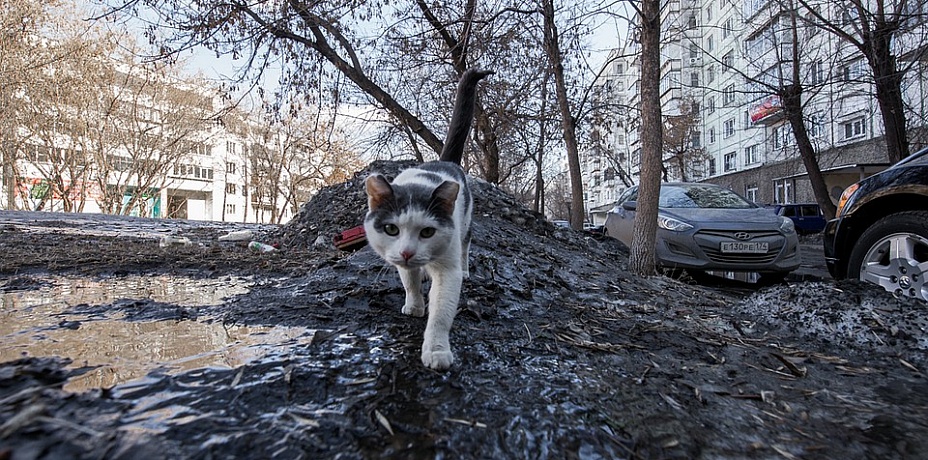 Мэрии Челябинска сделали «выговор» за грязь на улицах