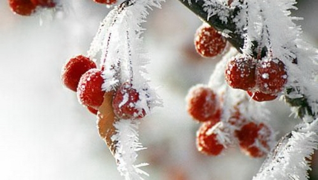 В ночь ударит мороз до   – 28 градусов в Челябинской области