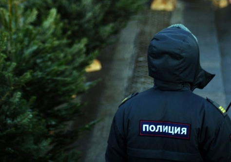 В Перми полиция изъяла у мужчины 115 елок