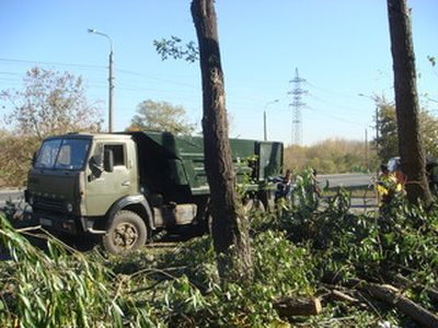 Челябинску обещают «зеленую революцию»