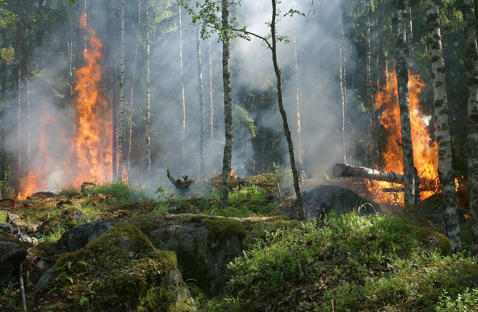 Южный Урал накрыло дымкой от лесных пожаров в Сибири 