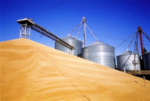 Южноуральские крестьяне намерены собрать нынче почти два миллиона тонн зерна