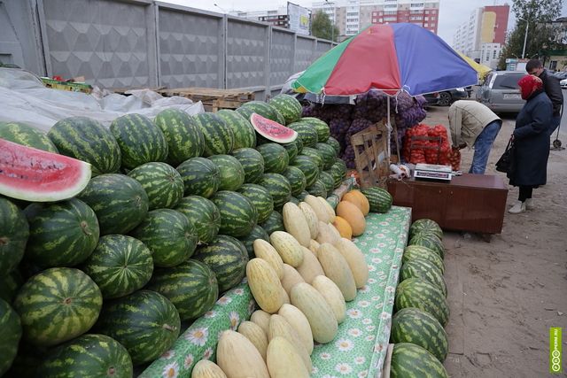 На Южном Урале начинается сезон арбузов