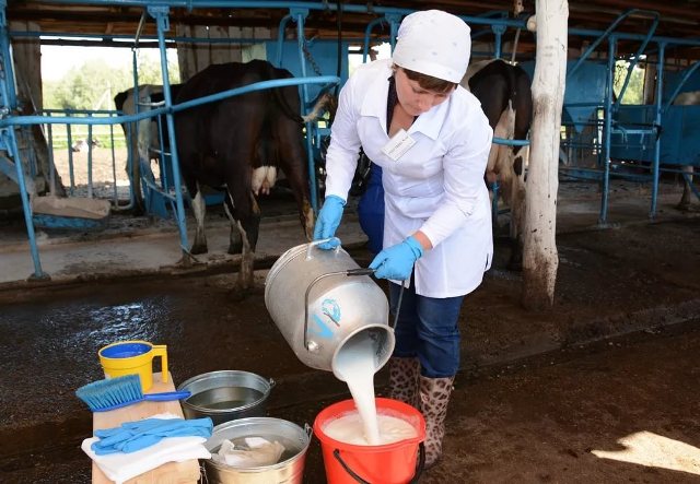 Агросектор Южного Урала сделает ставку на молоко и рыбу