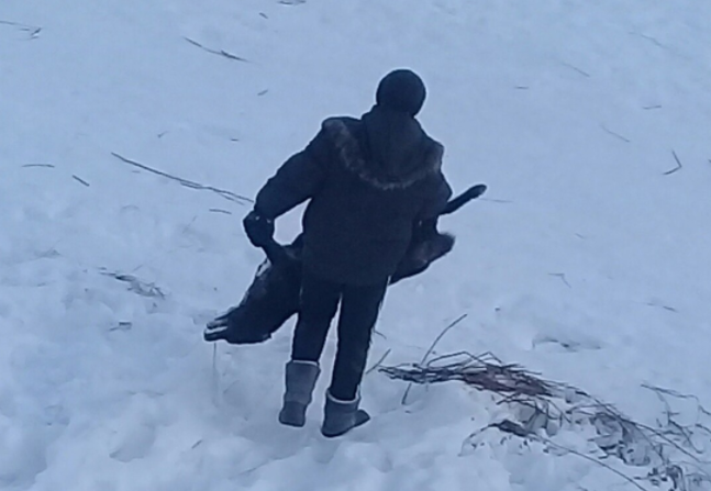 В Прикамье дети катались с горки на замерзшем трупе собаки