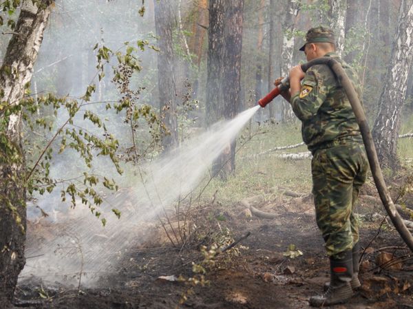 В челябинских лесах, несмотря на спавшую жару, продолжаются пожары