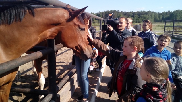 Дети из приюта «Возрождение» покормили лошадей в конноспортивном комплексе «Рифей» 