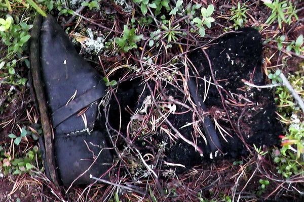 Человеческие останки обнаружили прохожие в Челябинской области