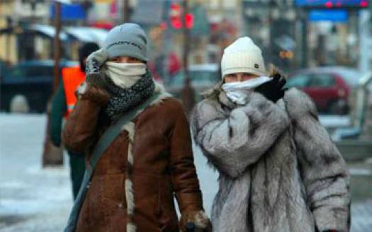 Морозы  на время остановили эпидемию гриппа