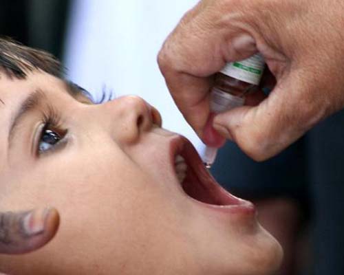 Без прививок против полимиелита в Израиль и Египет ехать опасно