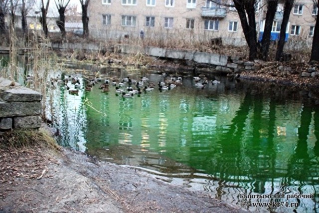 Позеленевшая вода в реке шокировала жителей Кыштыма