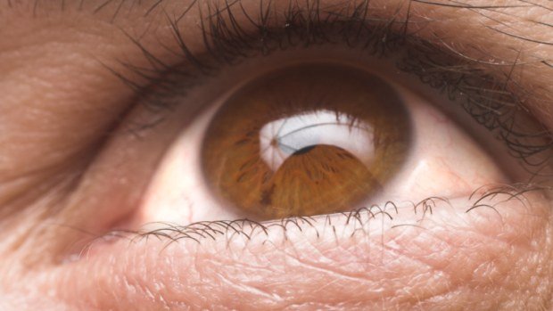 Предотвратить болезнь глаз помогут специалисты