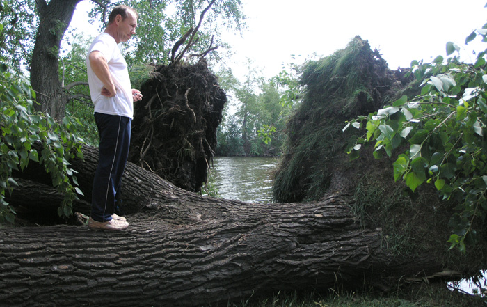 Ураган наломал дров