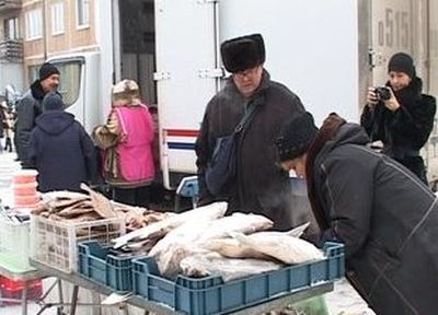 Предприниматели в Магнитогорске торгуют рыбой без документов