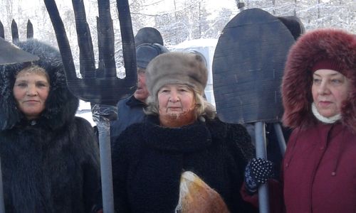 Садоводы и огородники Челябинска провели митинг в защиту своих интересов