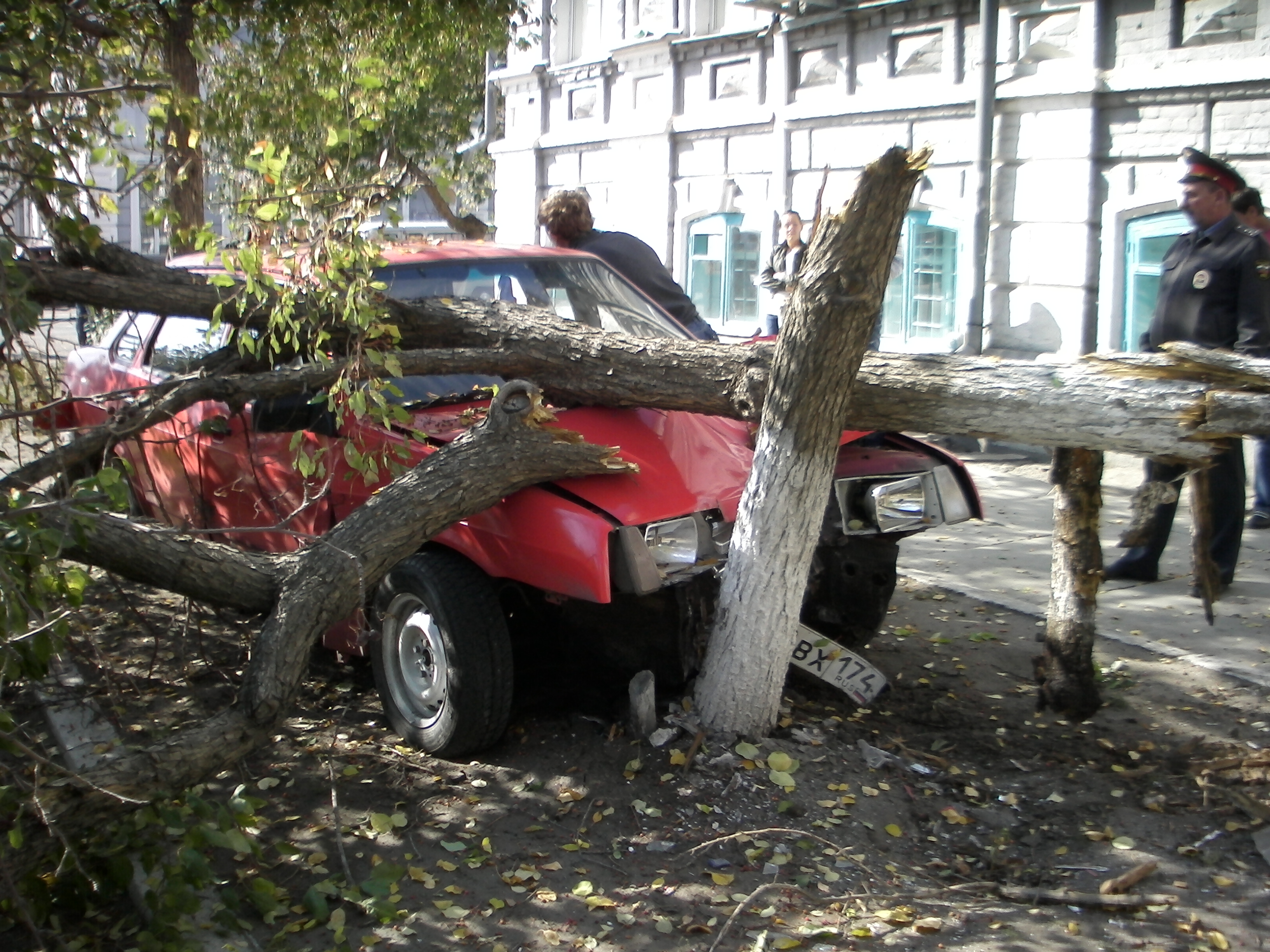 Водитель «Самары» снес два дерева в центре Троицка
