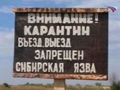 Россельхознадзор Челябинской области предупреждает о распространении сибирской язвы