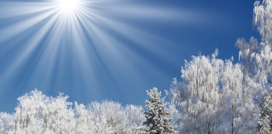 В Челябинской области прогнозируют теплую зиму