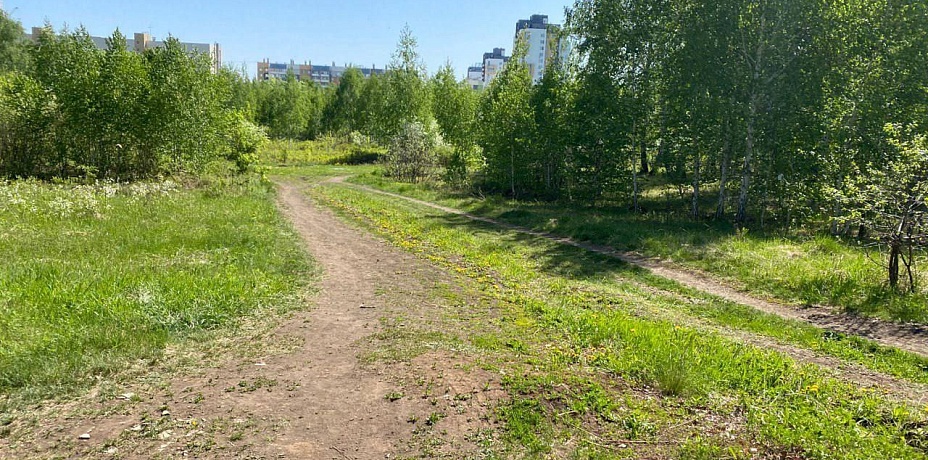 На Северо-Западе Челябинска проложат новую экотропу