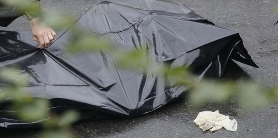 Тела двух пенсионерок нашли в поселке Полетаево
