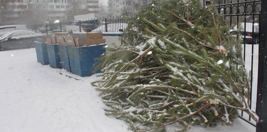 Старые новогодние елки в Челябинске заберут на переработку