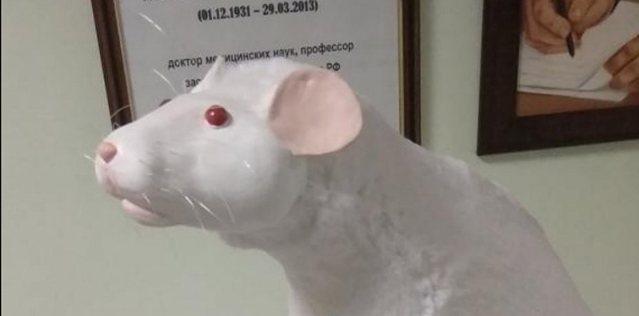 В челябинском медвузе на 3D-принтере распечатали памятник лабораторной крысе