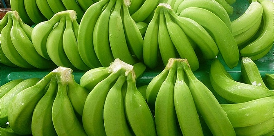 Зеленые бананы помогут похудеть