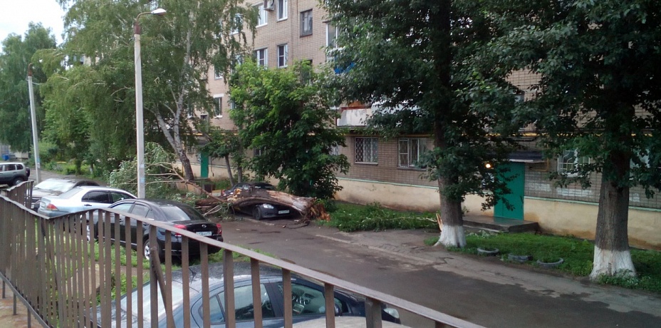 Ломал деревья, обрывал провода. Ночной ветер прошелся по районам Челябинска. Фото
