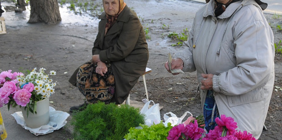 В Челябинской области хотят защитить права садоводов