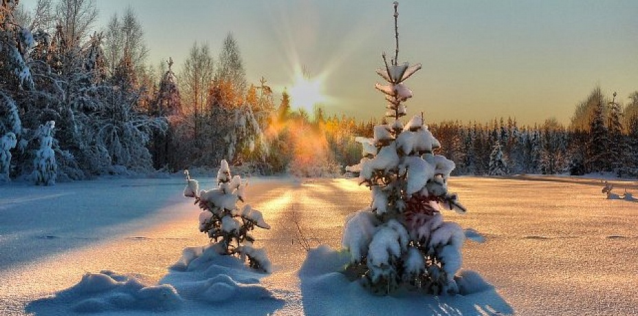 Мороз вразброс: перепад температур в 23 градуса зафиксирован сегодня в Челябинской области