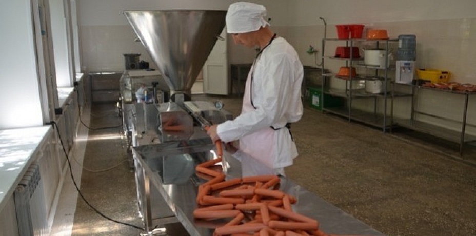 В Кыштымской исправительной колонии №10 начато производство колбасных изделий 