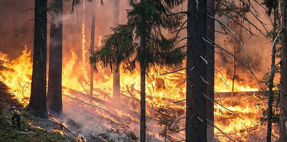 Опасность лесных пожаров прогнозируют в Челябинской области