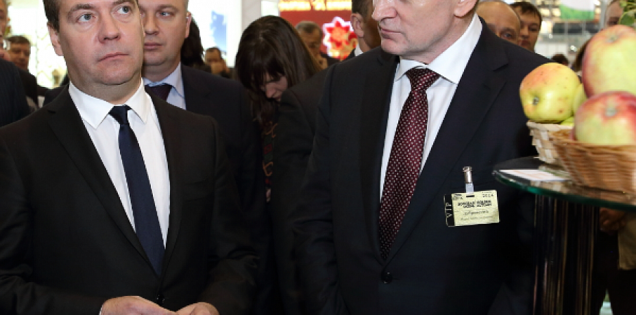Дубровский попросил у Медведева 15 млрд на саммиты ШОС и БРИКС
