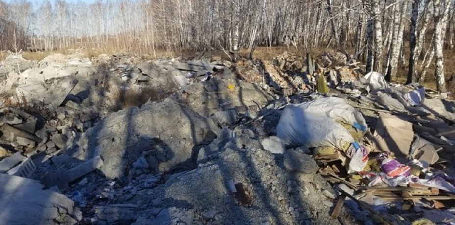 Свежий мусор на закрытой свалке Челябинска обнаружили общественники