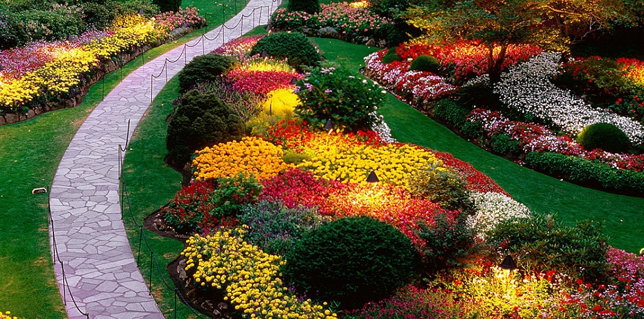 В Челябинской области стало больше цветов благодаря «Зеленому городу»