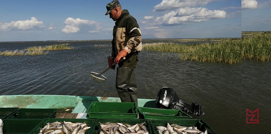 Глава региона побывал на одном из лучших рыбных заводов России в Кунашаке