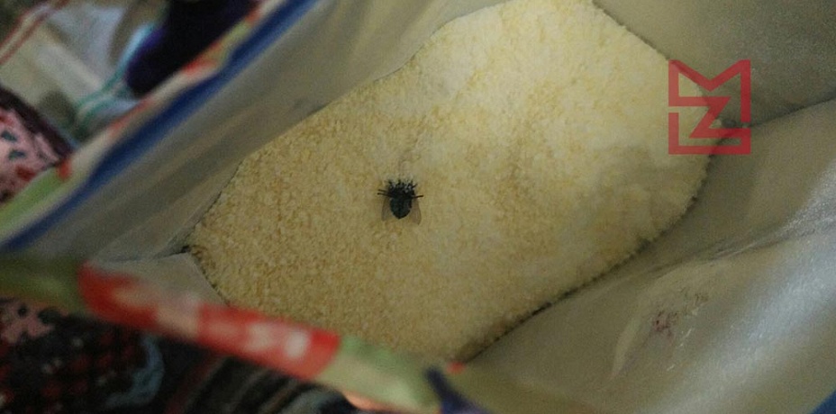 Челябинка обнаружила навозную муху в детском питании