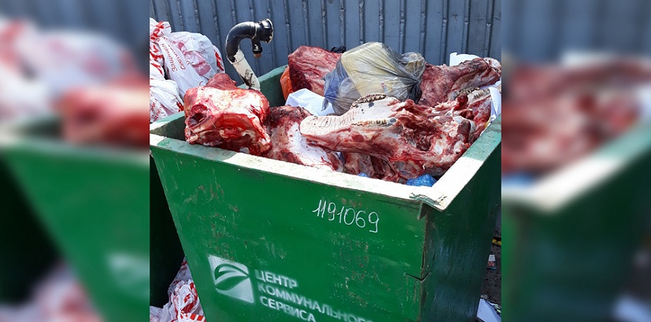 Головы животных в мусорный бак Челябинска подкинули из Сосновского района