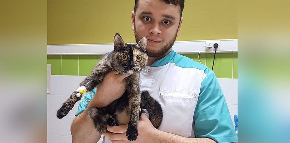 Спасающий от эвтаназии животных ветеринар из Челябинска рассказал, как слава изменила его жизнь