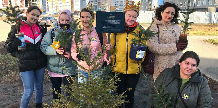 В Челябинске высадили еловый лес в честь дня рождения корейского музыканта