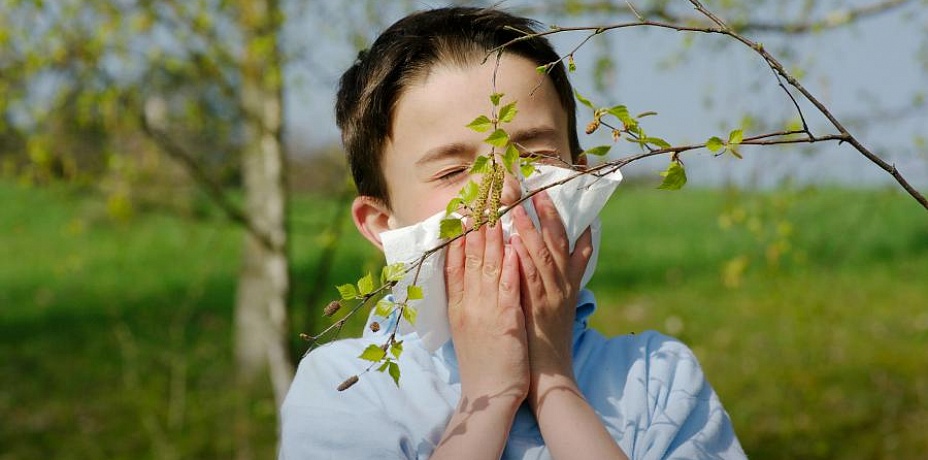 Пора цветения: медики рассказали, как улучшить качество жизни аллергикам