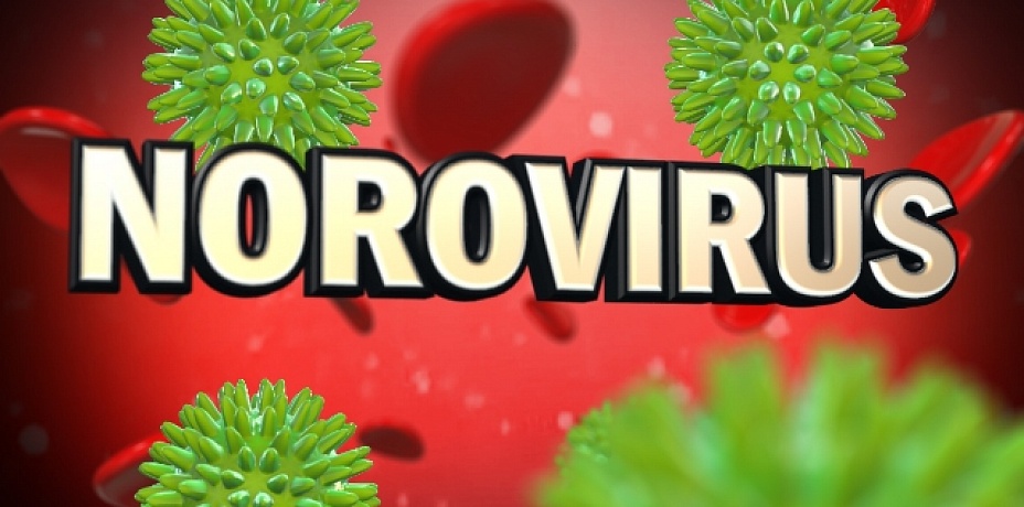 В Челябинской области 233 человека подхватили смертельно опасный норовирус