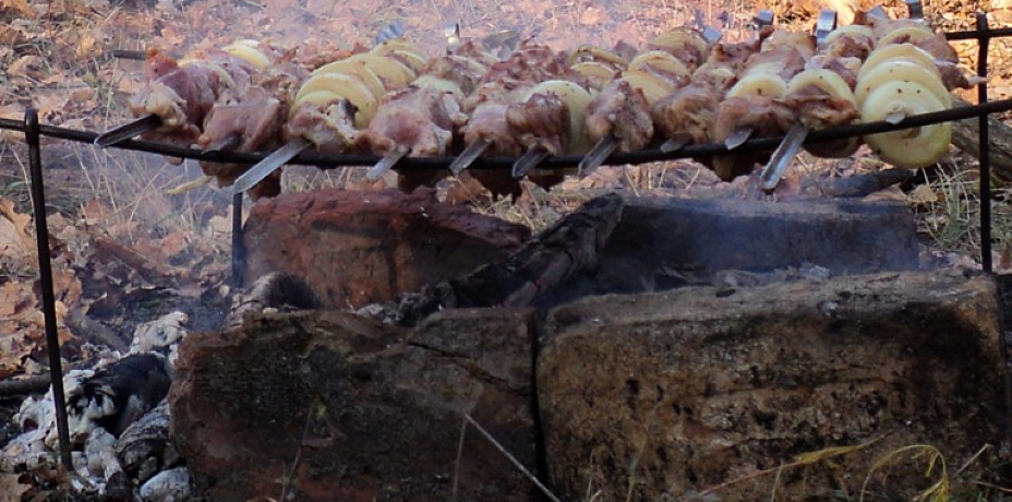 В Курганской области запретили жарить шашлыки в лесах